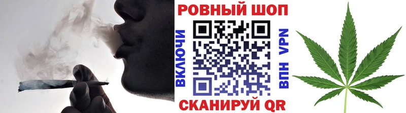 Галлюциногенные грибы Светлогорск