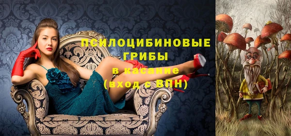 дживик Богданович