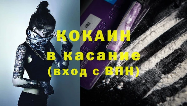 дживик Богданович