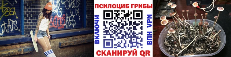 купить закладку  Светлогорск  OMG зеркало  Галлюциногенные грибы Magic Shrooms 