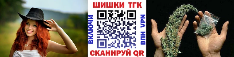 hydra как зайти  где можно купить наркотик  Светлогорск  Бошки марихуана планчик 
